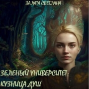 Кузница душ (СИ)