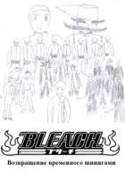 Bleach. Возвращение временного шинигами (СИ)
